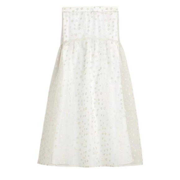 Maryam Nassir Zadeh X J.Crew drop-waist polka dot embroidered silk organza skirt - Picture 2 of 12